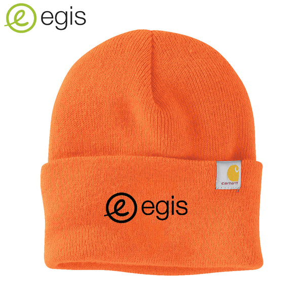 egis - CT104597 Carhartt® Watch Cap 2.0